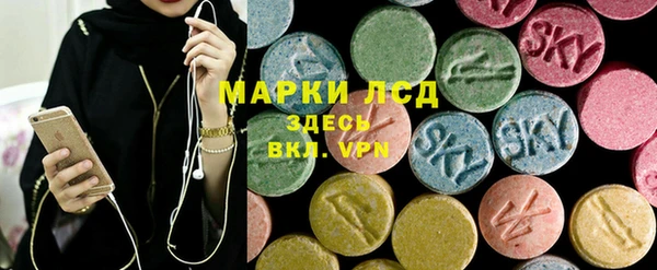 индика Абаза