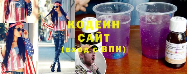 индика Абаза